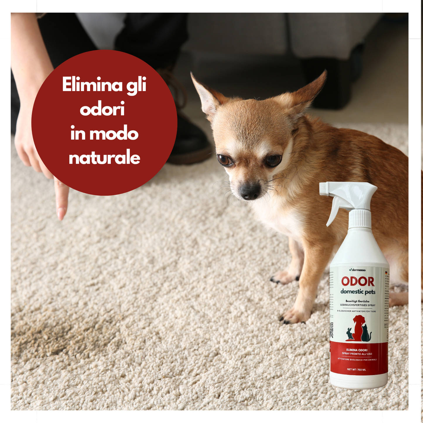 Dermazoo - ODOR PETS - Elimina odori e Macchie per Cani e Gatti