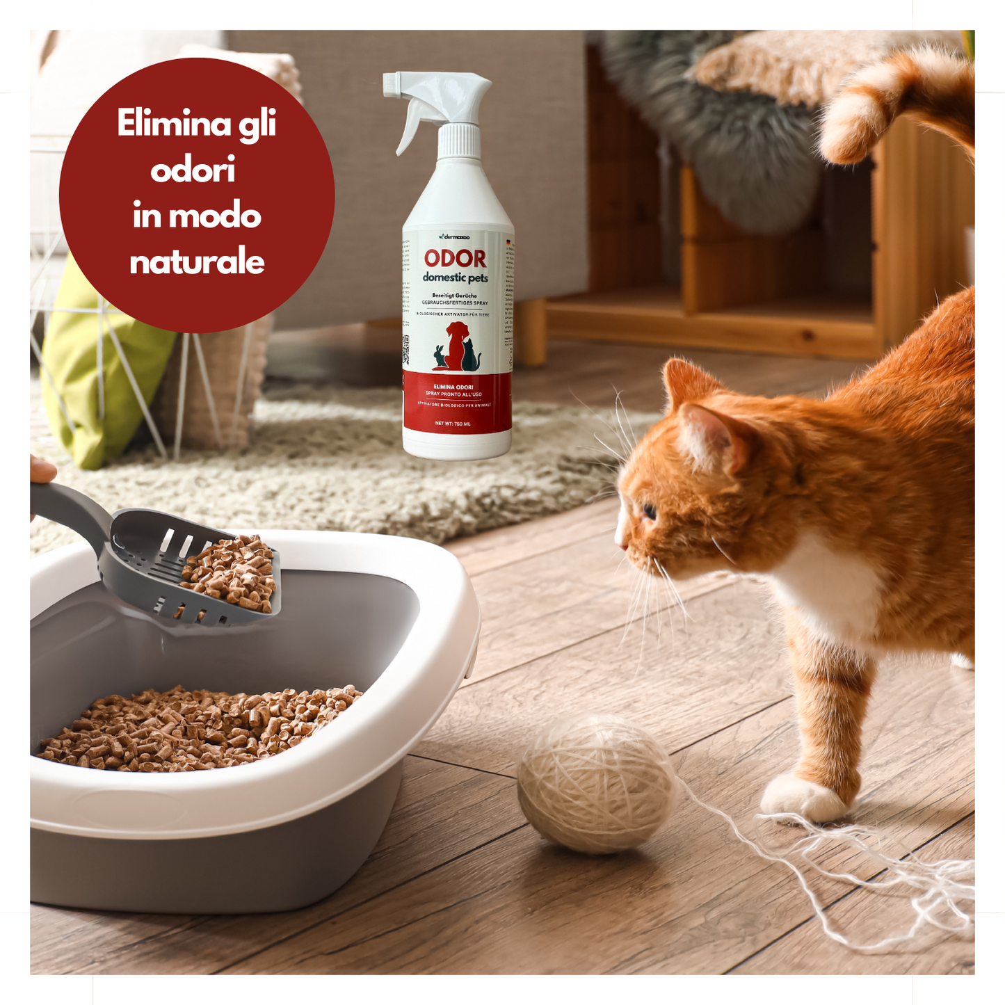 Dermazoo - ODOR PETS - Elimina odori e Macchie per Cani e Gatti