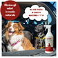 Dermazoo - ODOR PETS - Elimina odori e Macchie per Cani e Gatti