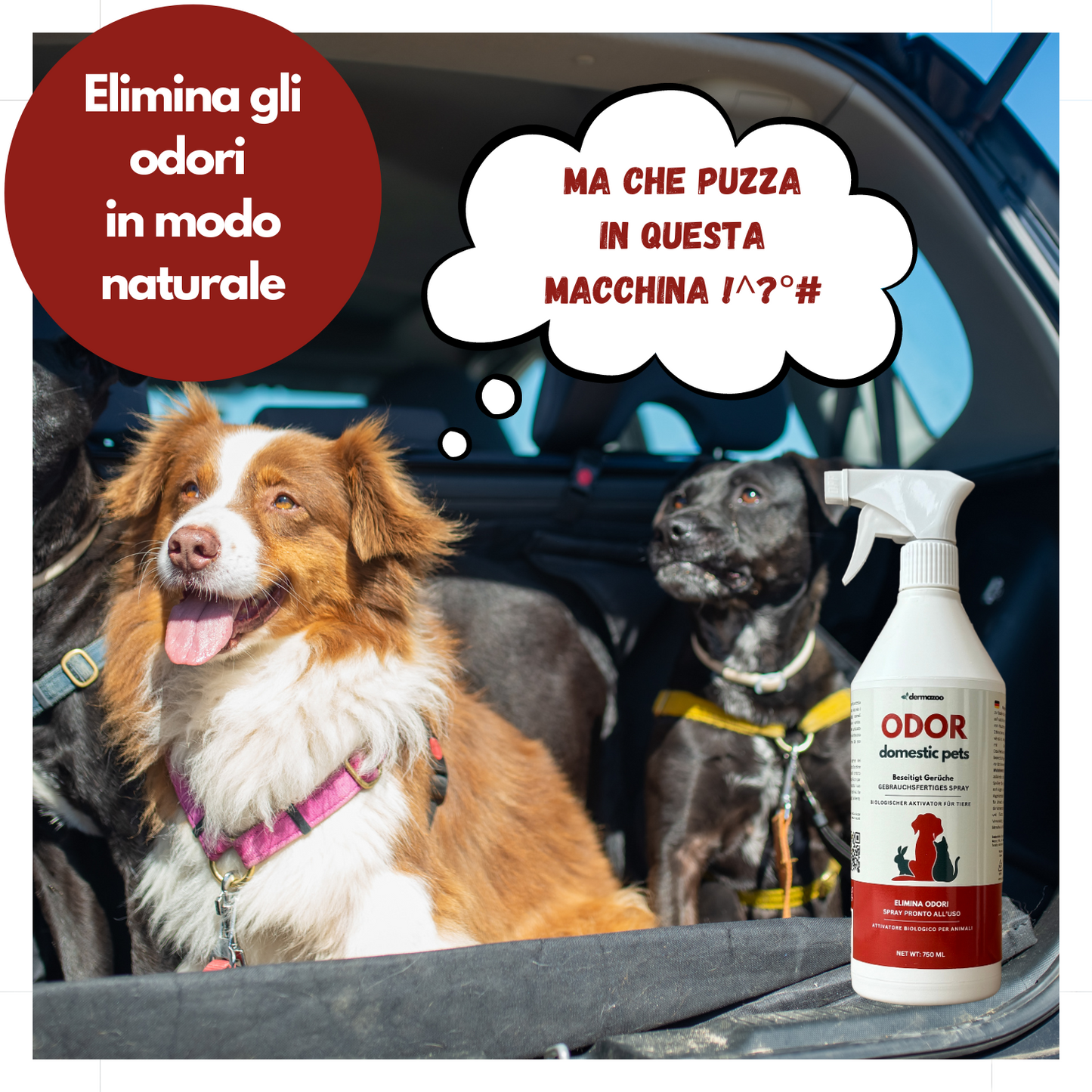Dermazoo - ODOR PETS - Elimina odori e Macchie per Cani e Gatti