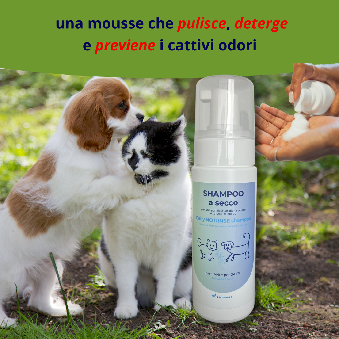 Shampoo a secco " .. 190 ml di mousse per lavaggio veloce e senza risciacquo "