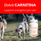 Dolvit Carnitina 90 "...stimola la vitalità .... "