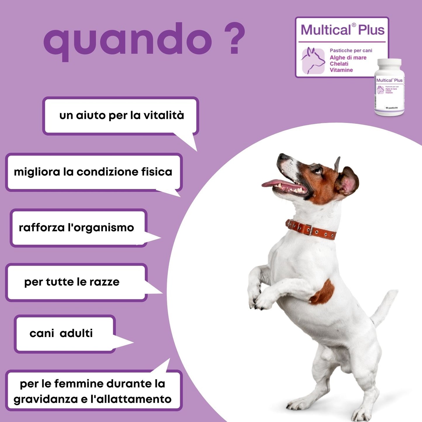 Multical Plus 90  ".. vitamine e minerali per il cane adulto ... "