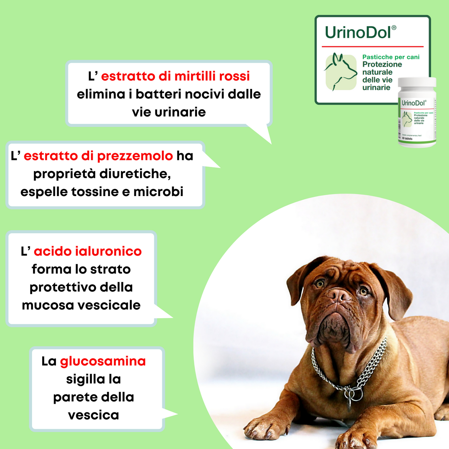 UrinoDol 60 "... protezione naturale delle vie urinarie del cane... "
