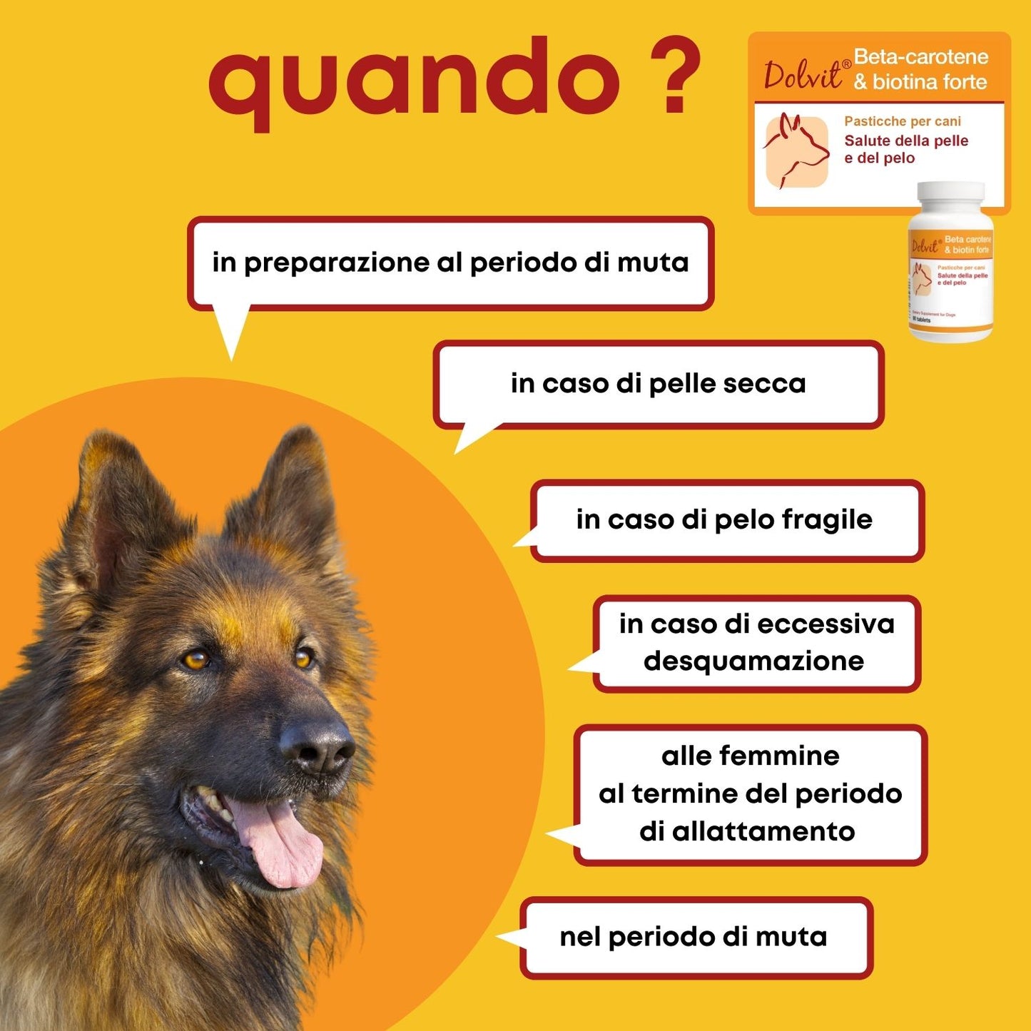 Dolvit Beta Carotene & Biotina Forte 90- Integratore Per il Pelo del Cane