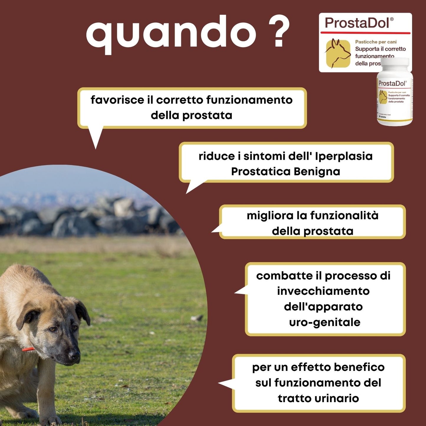 ProstaDol 90 ".... favorisce la funzionalità del prostata del cane ...."