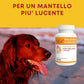 Dolvit Beta Carotene & Biotina Forte 90- Integratore Per il Pelo del Cane