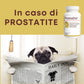 ProstaDol 90 ".... favorisce la funzionalità della prostata del cane ...."