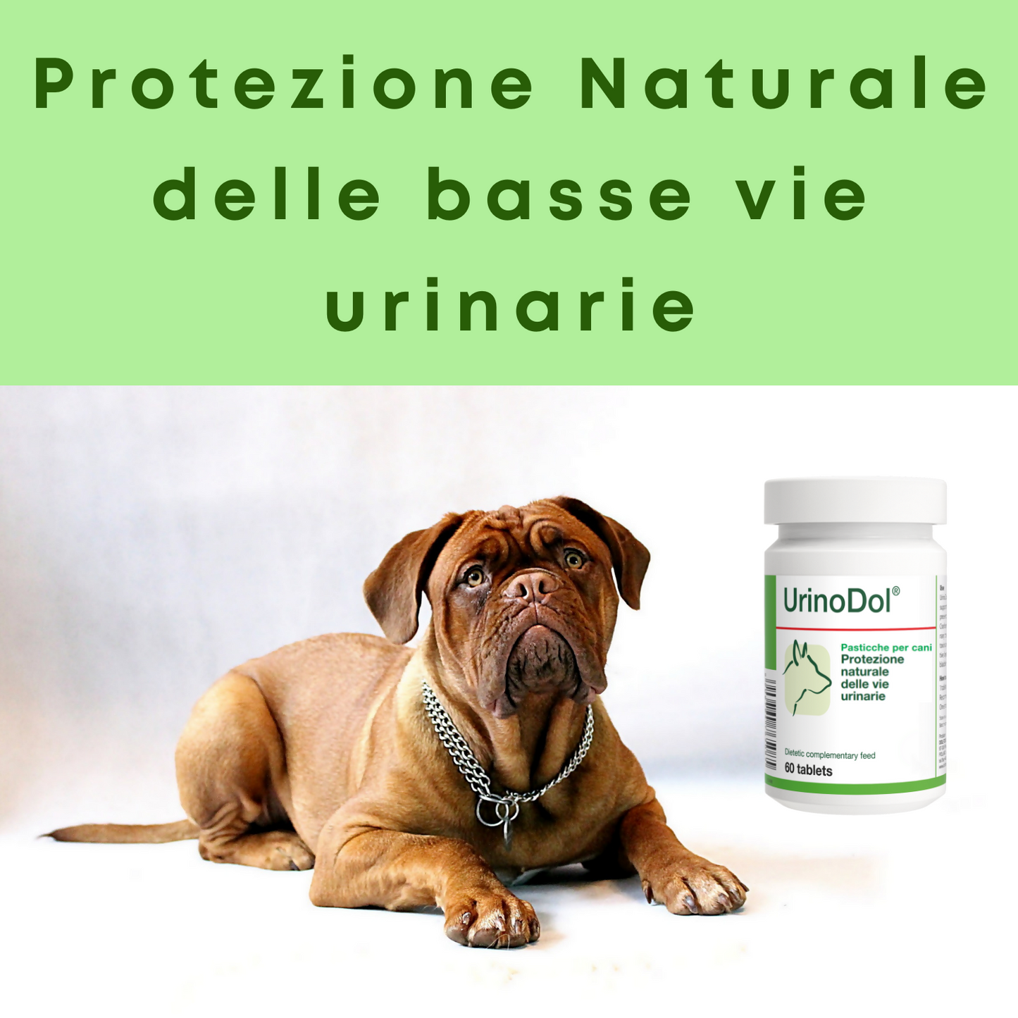 UrinoDol 60 "... protezione naturale delle vie urinarie del cane... "