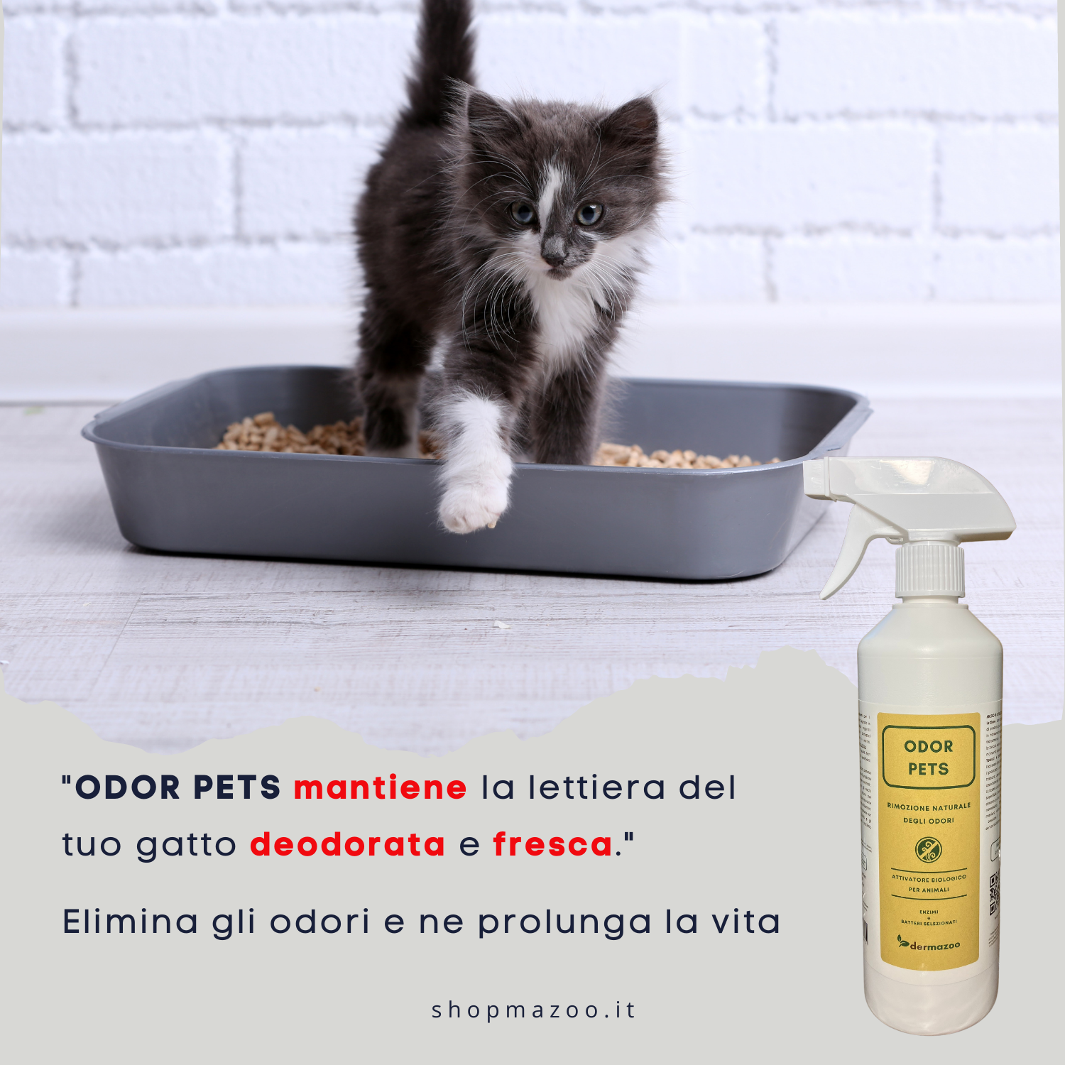 shopmazoo - ODOR PETS lozione professionale elimina odori - shopmazoo