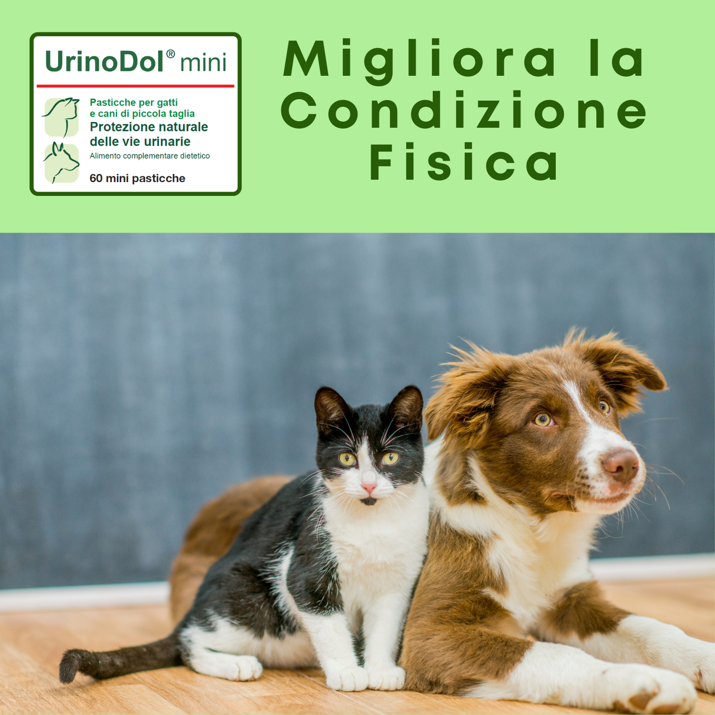UrinoDol mini 60  "... protezione naturale delle vie urinarie del gatto ... "