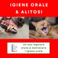 Dolvit ProDental powder  "... igiene orale e problemi di alitosi .. "