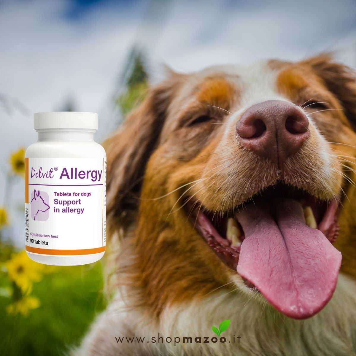 Dolvit Allergy 90 - Antistaminico Naturale per Cani