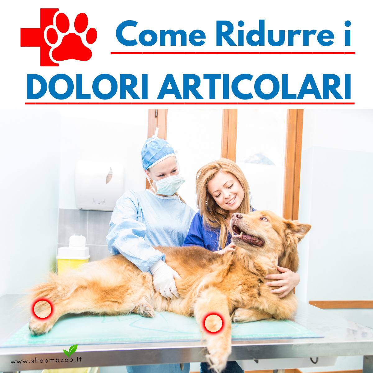 ArthroDol 30 "indicato in caso di artrite. Antinfiammatorio e Analgesico.."