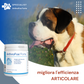 ArthroFos Forte 700 "in polvere con Vitamine e Carnitina"