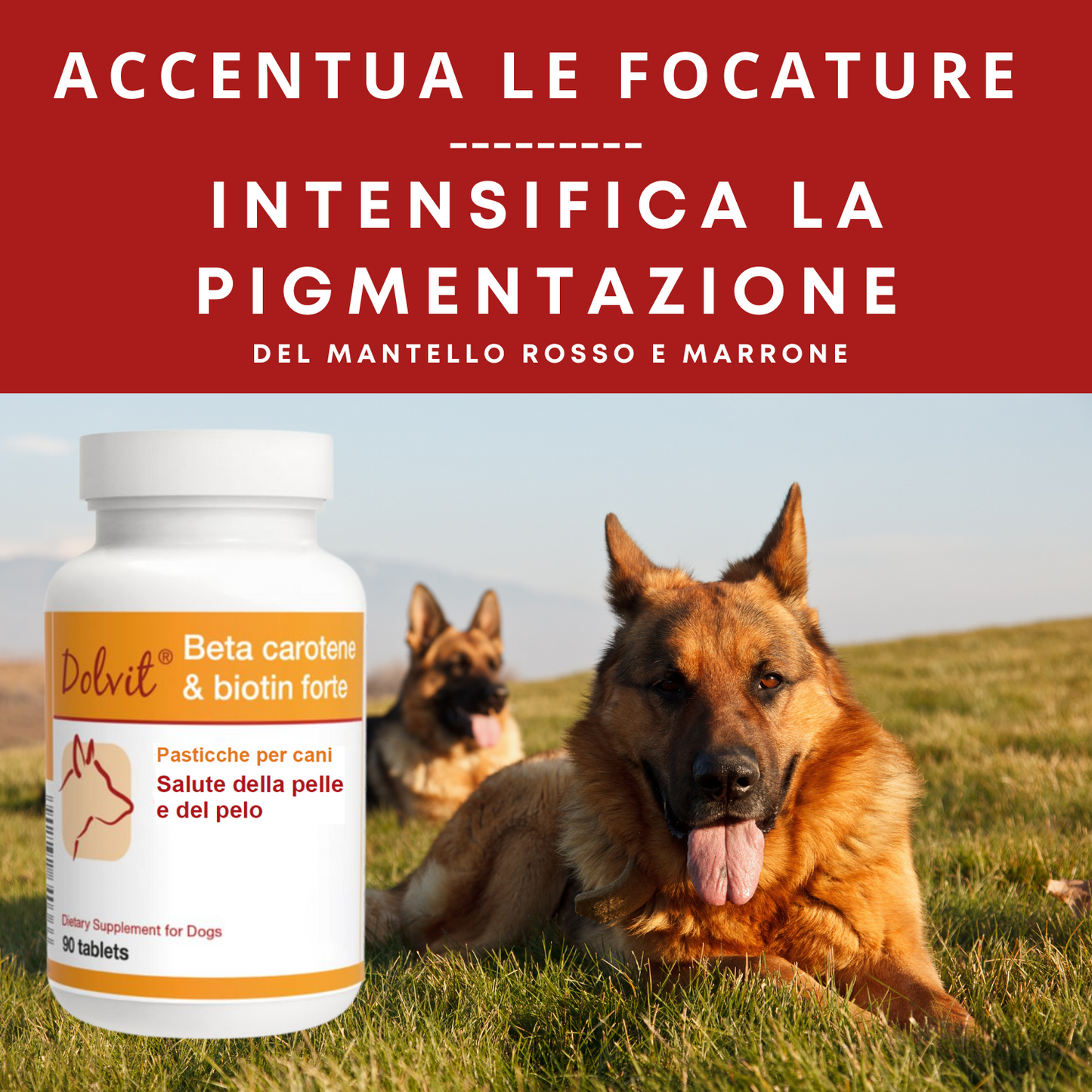 Dolvit Beta Carotene & Biotina Forte 90- Integratore Per il Pelo del Cane