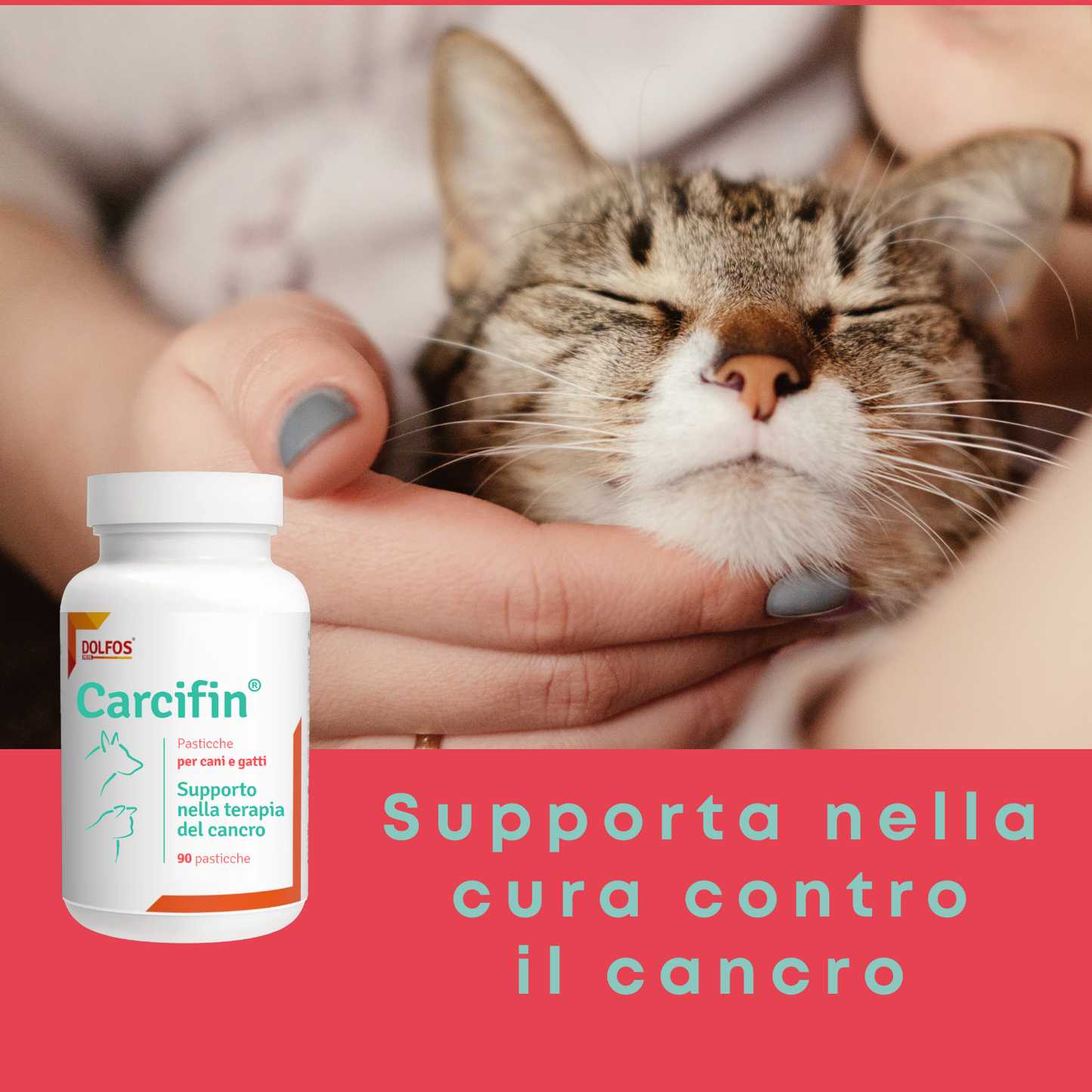 Carcifin 90 - Supporto nella terapia del cancro