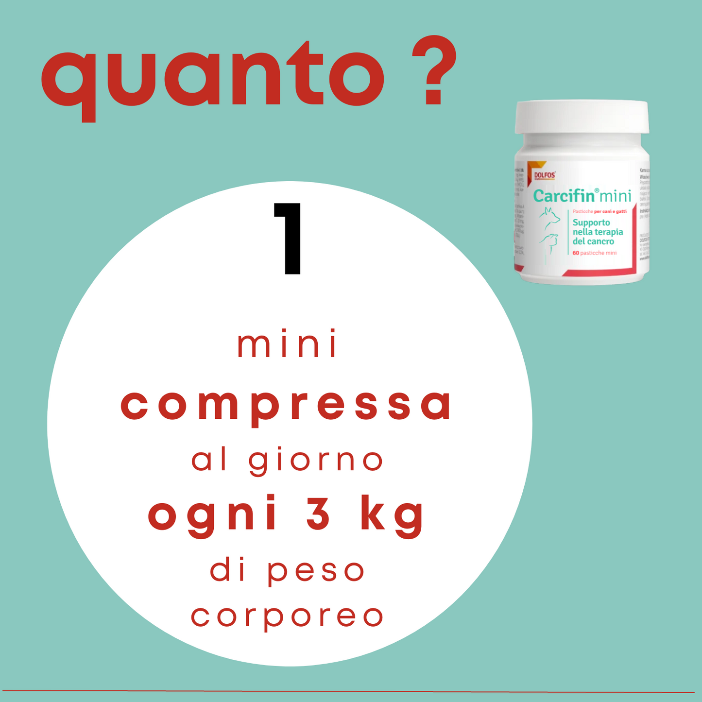 Carcifin mini 60 - Supporto nella terapia del cancro