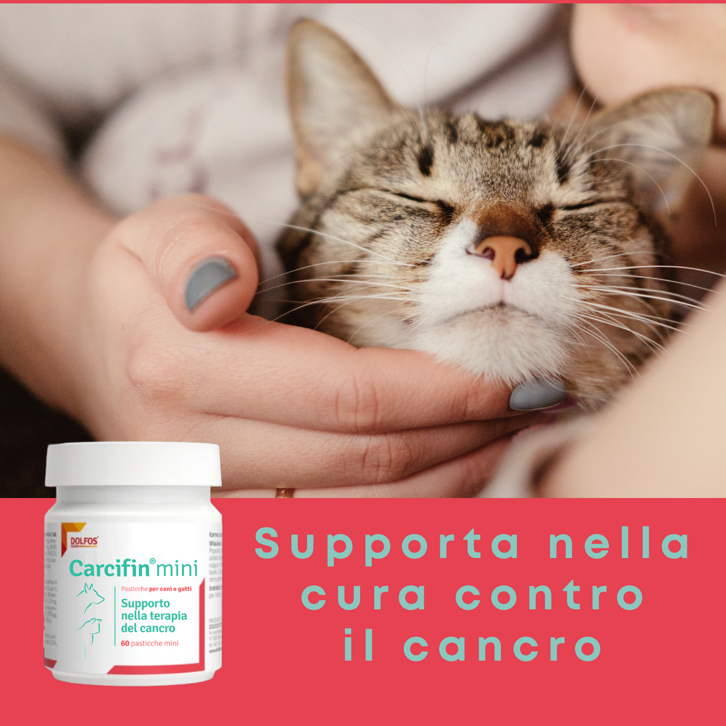 Carcifin mini 60 - Supporto nella terapia del cancro