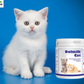 Dolmilk Cat base "... sostituto del latte materno in polvere.."