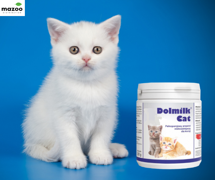 Dolmilk Cat base "... sostituto del latte materno in polvere.."