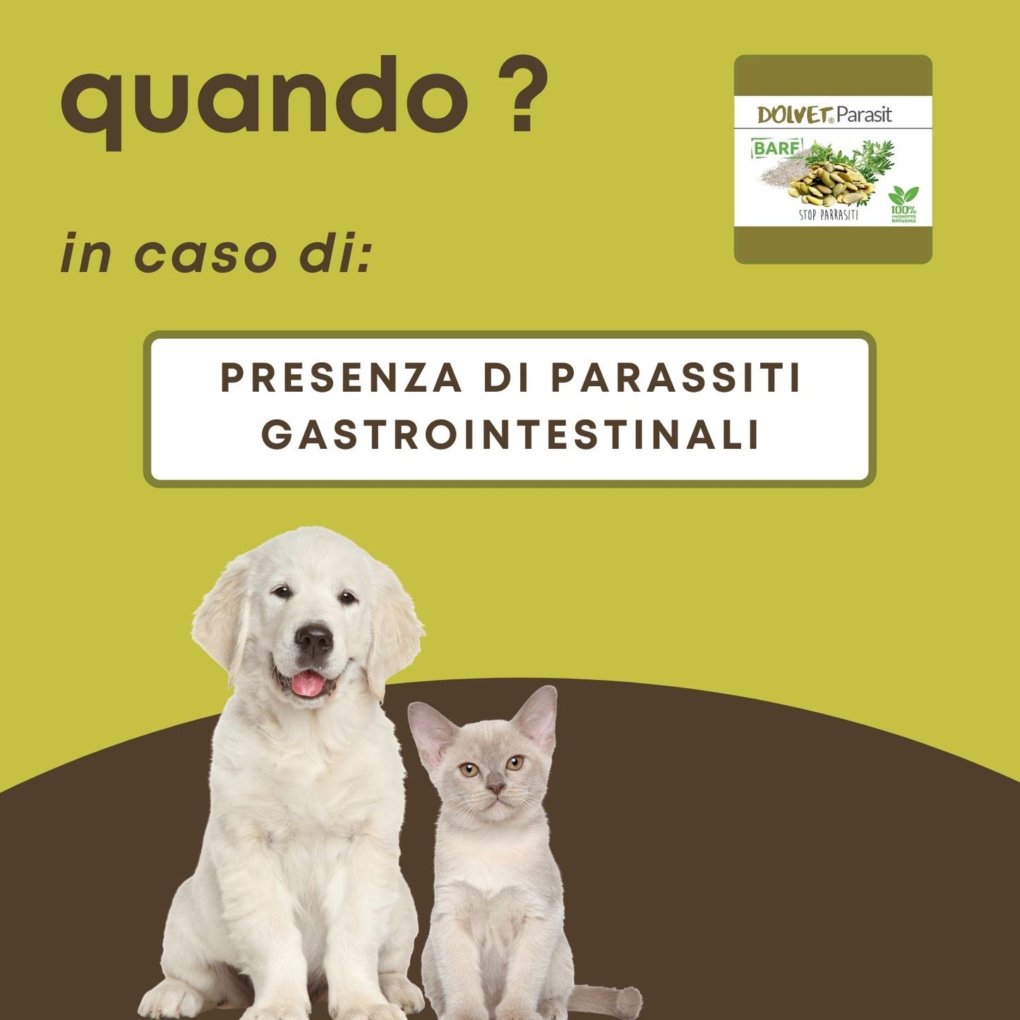 Dolvet Parasit 70 - aiuta a combattere i parassiti gastrointestinali senza danneggiare la mucosa intestinale ...