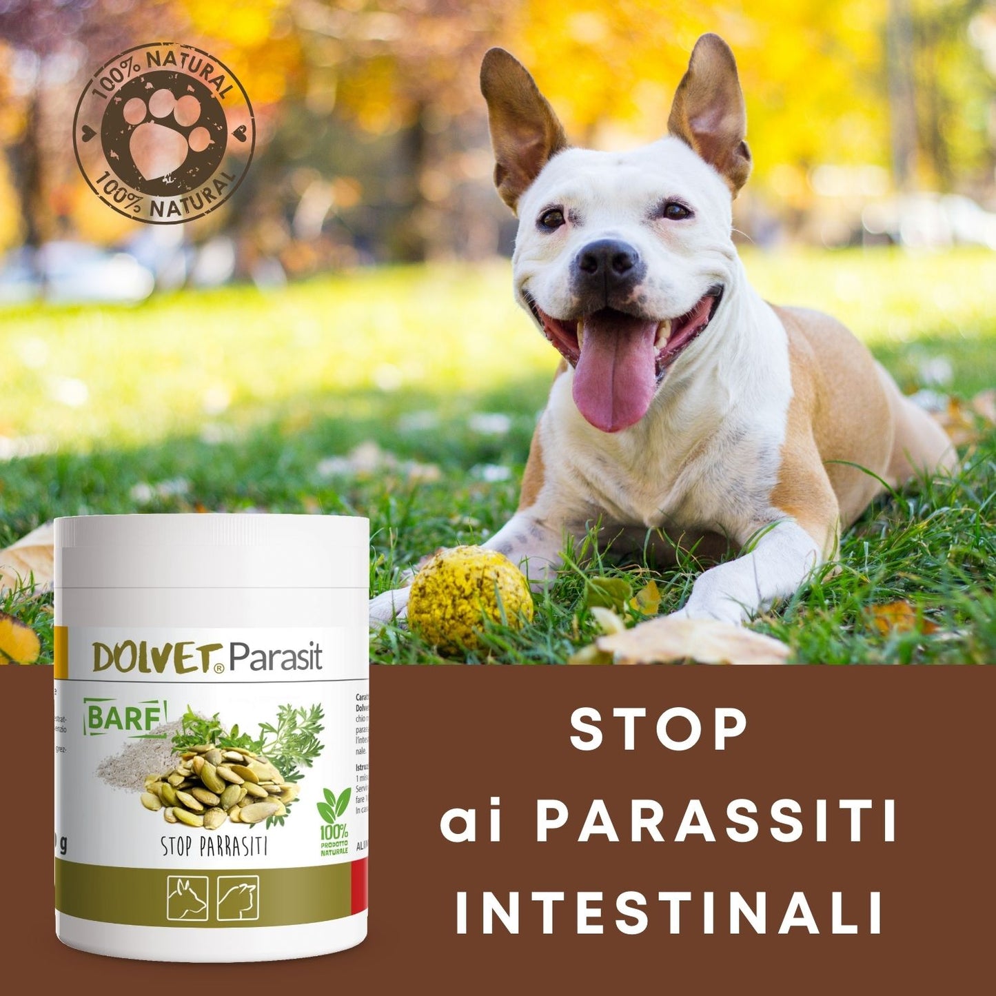 Dolvet Parasit 70 - aiuta a combattere i parassiti gastrointestinali senza danneggiare la mucosa intestinale ...