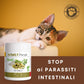 Dolvet Parasit 70 - aiuta a combattere i parassiti gastrointestinali senza danneggiare la mucosa intestinale ...