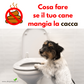 Dolvit Cayenne "... combatte la coprofagia ed è un ottimo regolatore intestinale ..."