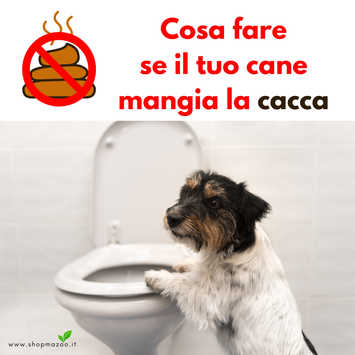Dolvit Cayenne "... combatte la coprofagia ed è un ottimo regolatore intestinale ..."