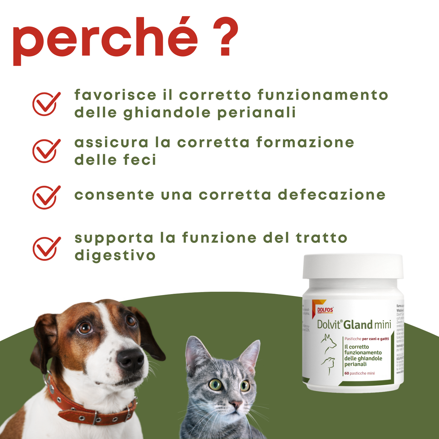Dolvit Gland mini 60 - " ... favorisce lo svuotamento delle ghiandole perianali del gatto ...."