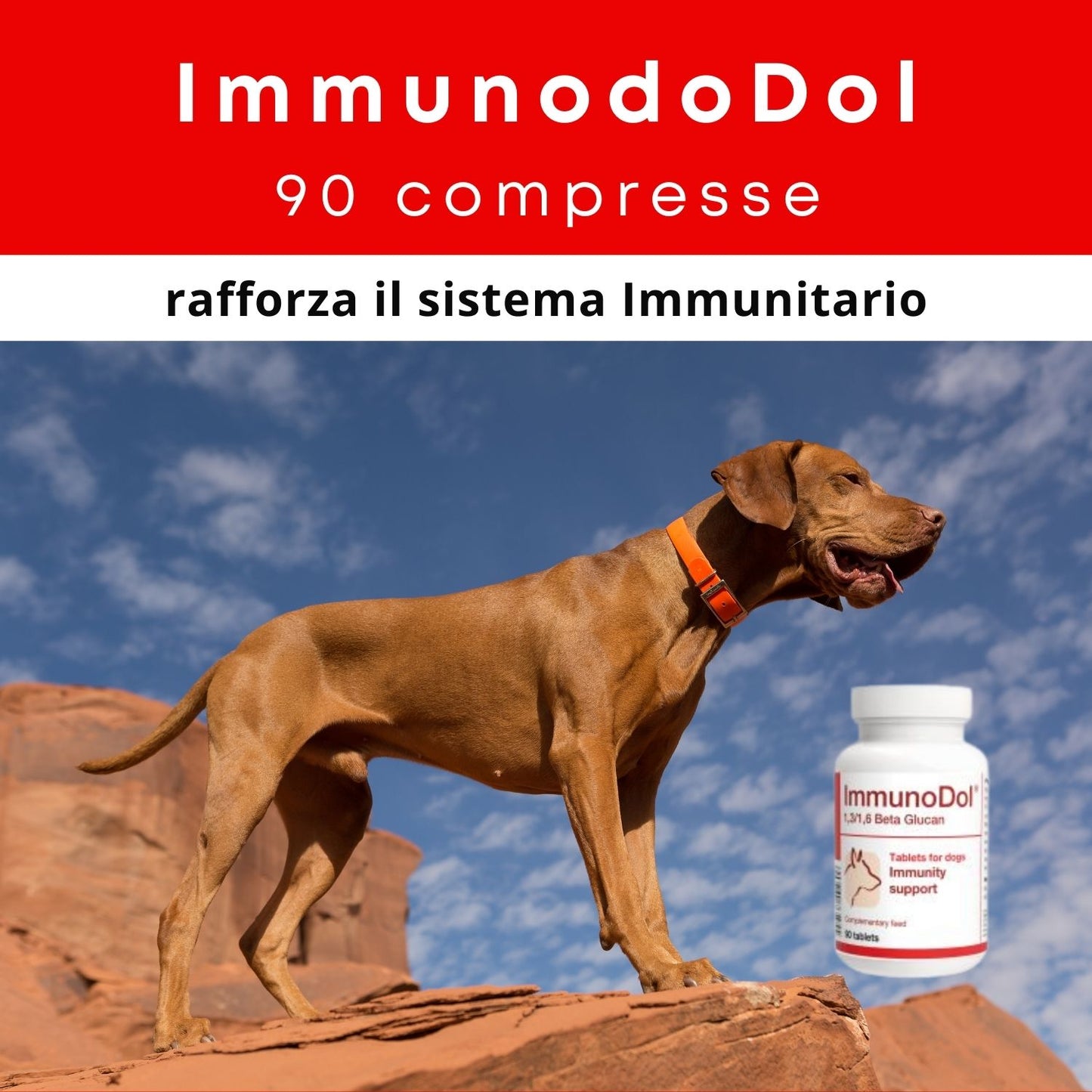 ImmunoDol e Immunodol mini