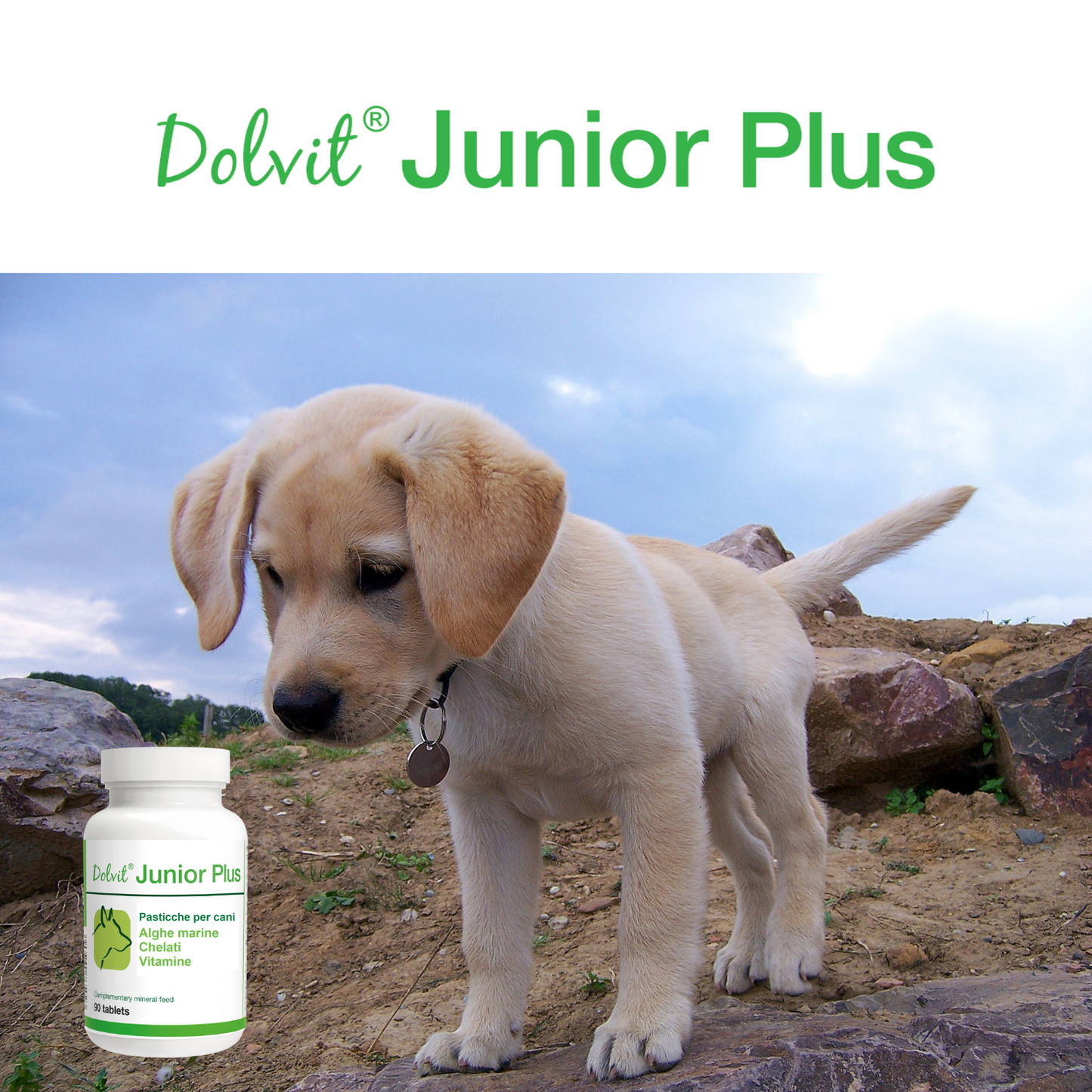 Dolvit Junior Plus 90 "... contiene vitamine, minerali chelati, alghe marine ...."