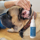 OTO - dermazoo - Soluzione per la pulizia delle orecchie dei gatti 100 ml