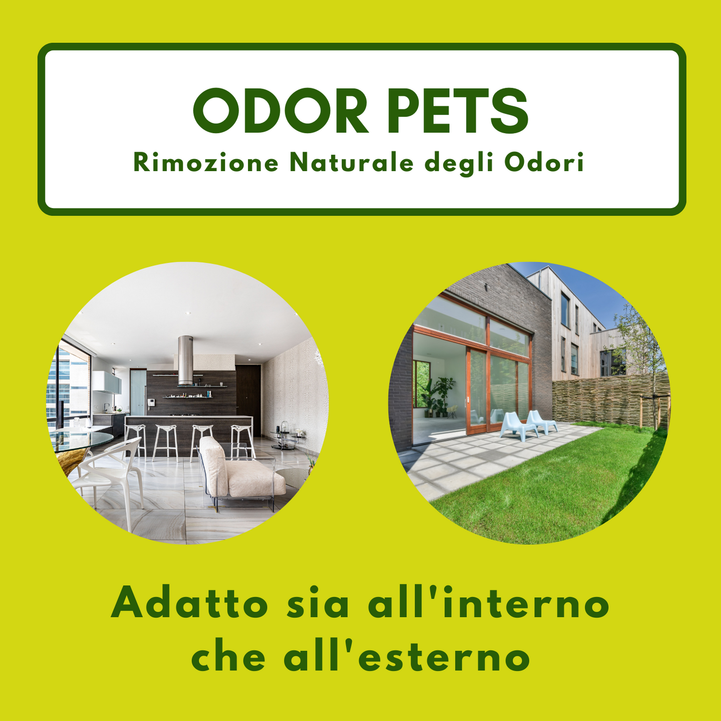 Dermazoo - ODOR PETS - Elimina odori e Macchie per Cani e Gatti