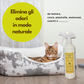 Dermazoo - ODOR PETS - Elimina odori e Macchie per Cani e Gatti