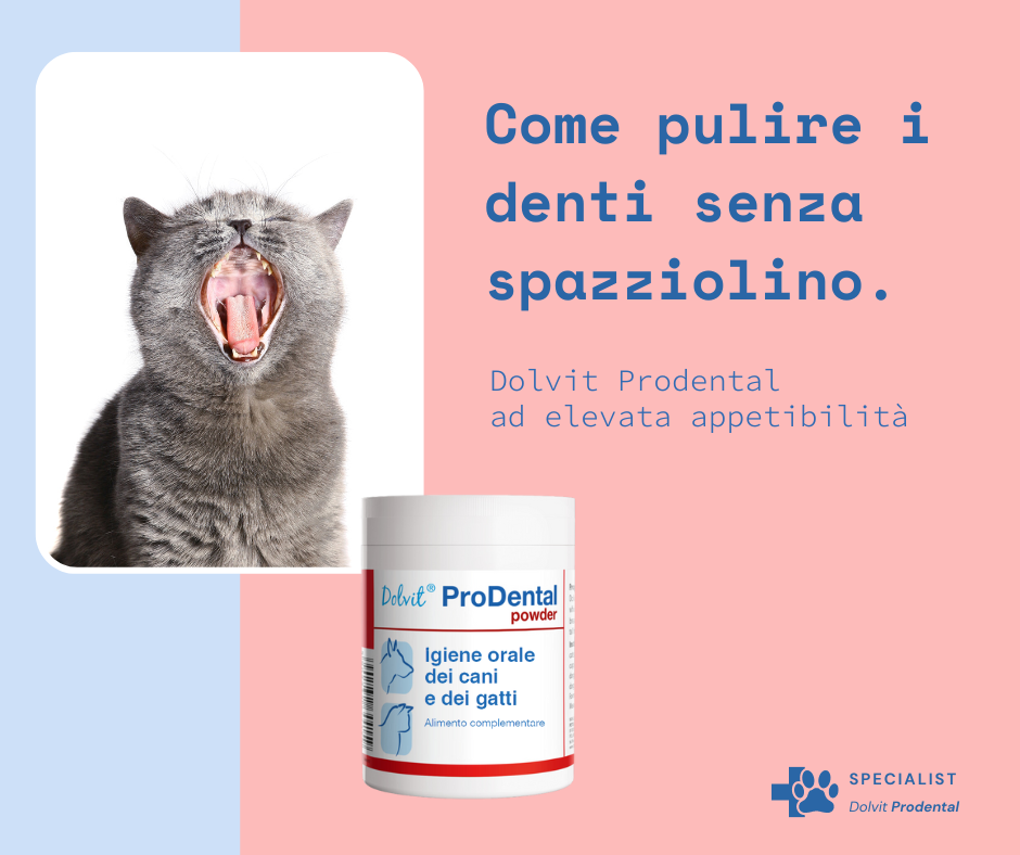 Dolvit ProDental powder  "... igiene orale e problemi di alitosi .. "