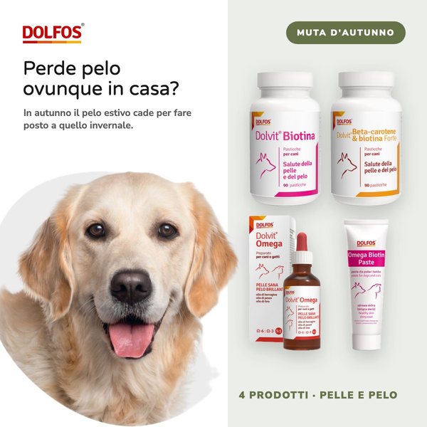 Un golden retriever e quattro integratori Dolfos per pelle e pelo